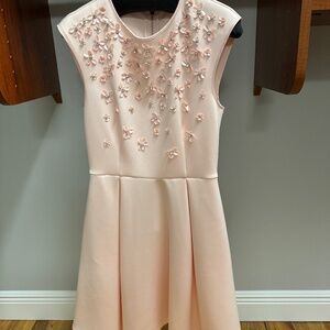 Ted Baker Skater Dress with pockets Size 1